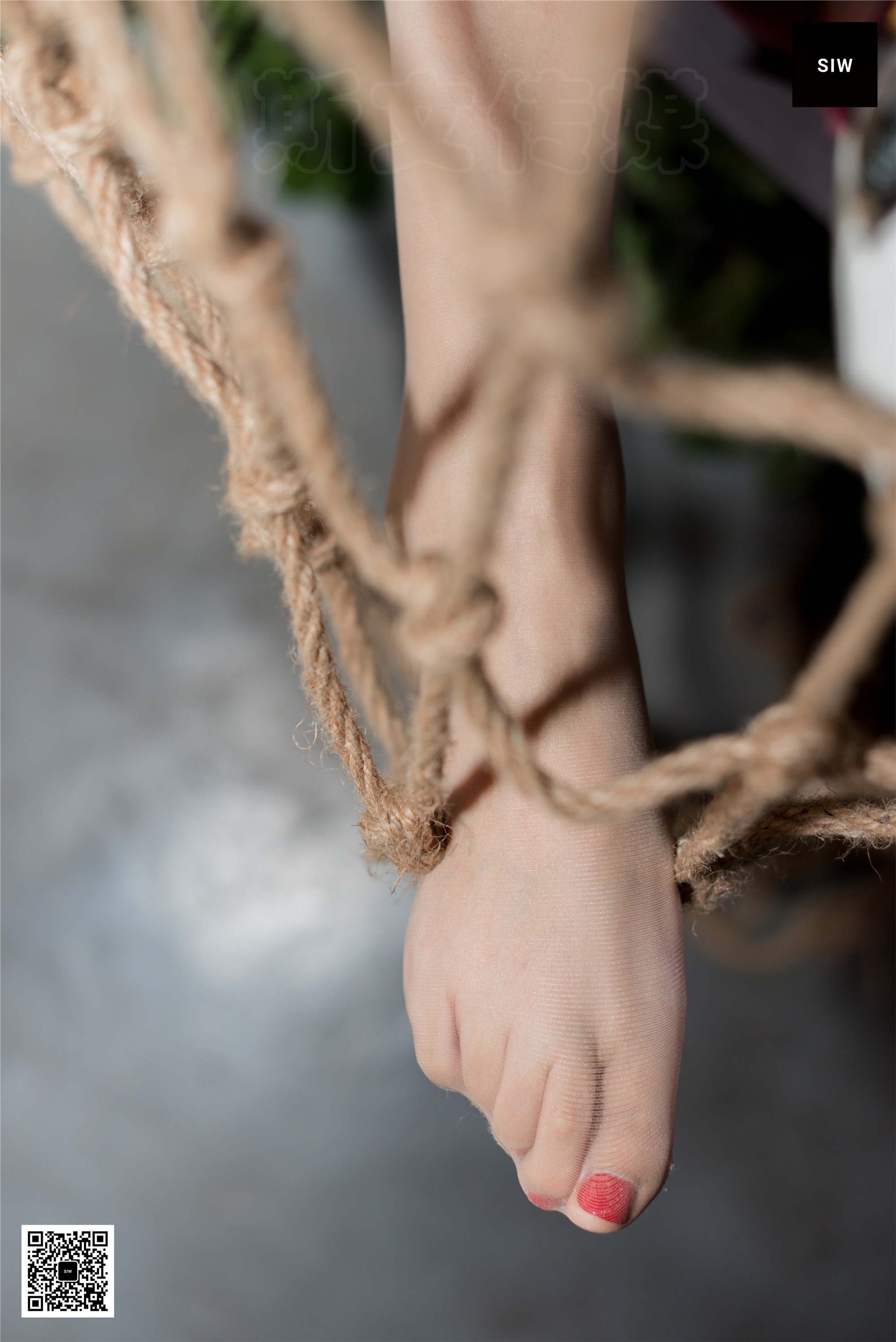 SIW斯文传媒  VOL.032 咖啡书香-悦悦